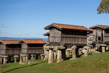 Conjunto de hórreos, A Merca, Orense, Galicia, España