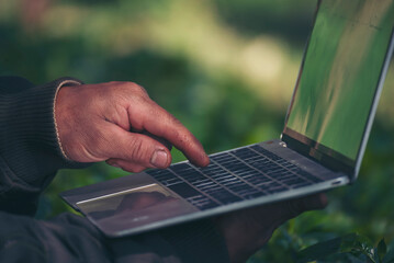 Wall Mural - Smart farmer using laptop in eco green farm sustainable quality control. Close up Hand typing laptop computer quality control plant tree. Farmer hands using technology in eco Farmland biotechnology