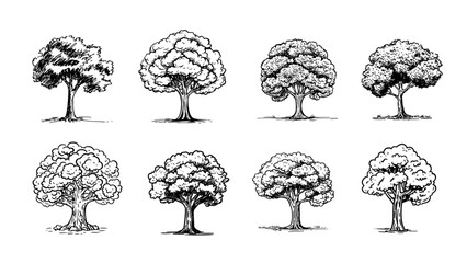 Set of tree hand drawn collection