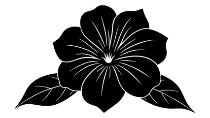 petunia flower vector silhouette illustration