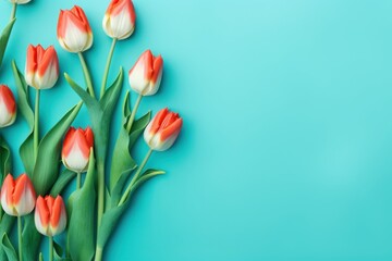 Wall Mural - Spring tulip flowers on background top view in flat lay style flower floral background border texture