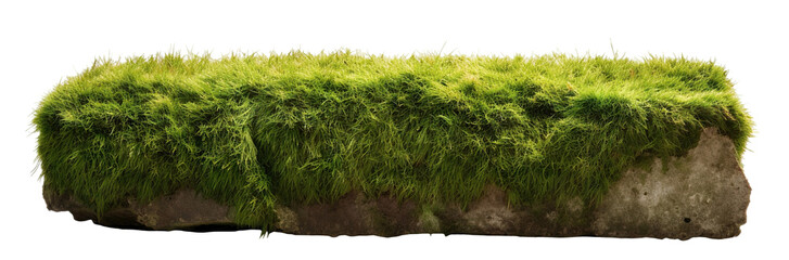 Wall Mural - Patch of fresh green lawn grass, cut out