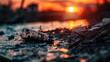 © Thamonchanok - A close-up of a polluted riverbank with plastic bottles and debris, highlighting environmental pollution at sunset.