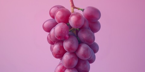 Wall Mural - grape