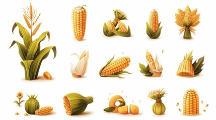 A grid of 9 rustic corn icons with a vintage feel, depicting different aspects of corn farming and harvesting, on a white background