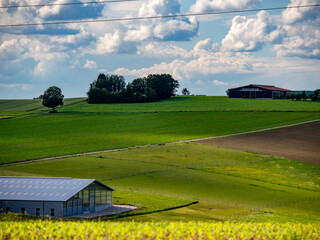 Wall Mural - Grüne Agrarlandschaft nach vielen Regenfällen