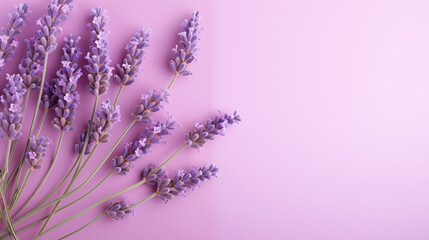 Poster - Bunch of Lavender Sprigs on Pink Surface