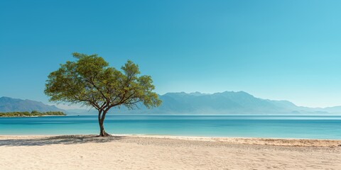 Poster - Lonely tree stands on a serene sandy beach with calm blue waters and scenic mountains