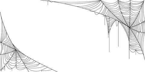Wall Mural - spider web vector illustration