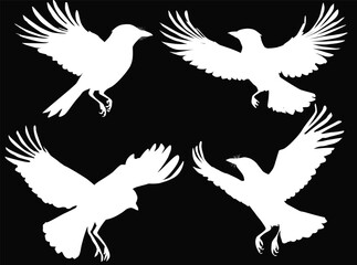 Poster - jay birds silhouettes in flight isolated on black