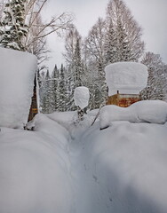 Wall Mural - Russia. Kuznetsk Alatau. Winter view of the holiday village of Borisovka among the snow-covered impassable taiga on the banks of the Tom River.