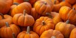 © gunzexx png and bg - A group of small vibrant orange pumpkins gathered, representing harvest time and the fall season
