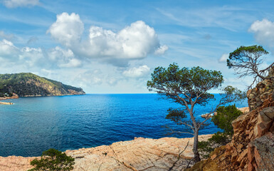 Poster - Summer sea rocky coast view (near Palamos, Costa Brava, Catalonia, Spain). Two shots stitch panorama.