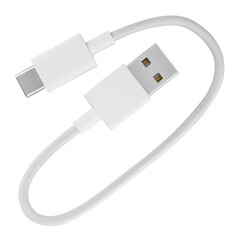 Wall Mural - cable with USB and Type-C connector