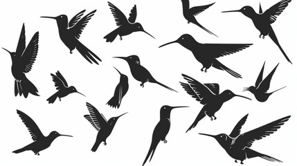 A collection of various hummingbird silhouettes, each in a different pose 3D avatars set vector icon, white background, black colour icon