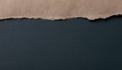 Canvas Print - horizontal paper texture background