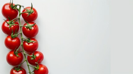 Wall Mural - Pair of juicy red Tomatoes with water droplets space for text isolated on white background. Clipping path.