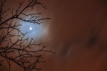Wall Mural - The Blue Moon in the clouds of the night sky against the background of tree branches without leaves. Skyscape on a foggy cloudy night