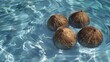 © LabirintStudio - Four coconuts floating in clear blue water