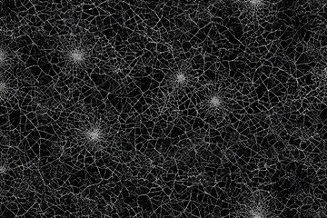 A black and white photo of a spider web with a few stars in the background