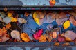 © LimeSky - A clogged roof gutter full of autumn leaves and water a common autumn chore