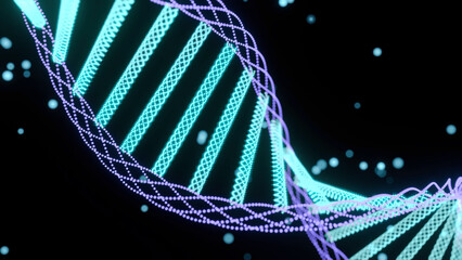 Wall Mural - animation of spinning dna structure, green and purple digital waves against black background.