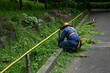 © tamu - A scene from weed cutting work. Background material for working people.
