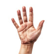 © The Stock Guy - Raised opened hand or male palm, isolated on transparent background