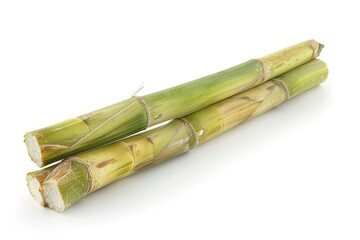 Wall Mural - Single sugar cane isolated on white background