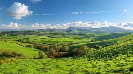 Wall Mural - A panoramic view of rolling hills and patchwork fields under a bright blue sky. Generative AI.