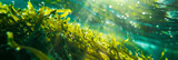 Dense Cluster of Green Seaweed Swaying in Sunlit Underwater Scene