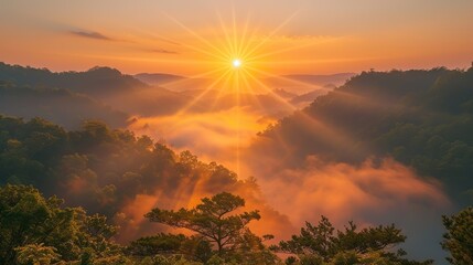 Wall Mural - A picture of a golden sun rising over a peaceful valley.