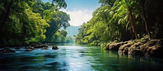 Wall Mural - Beautiful landscape of a river in the jungle with a copy space image