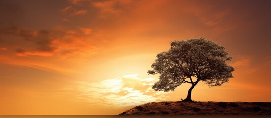 Wall Mural - Silhouette of a tree with a cloud against a sunset with a copy space image available