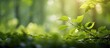 © Ilgun - Summer in the forest with a scenic copy space image featuring lush foliage and bokeh effects
