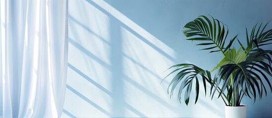 Poster - Light blue background with minimal abstract design featuring shadows of tropical leaves and window curtains on a plaster wall ideal for product presentations with copy space image