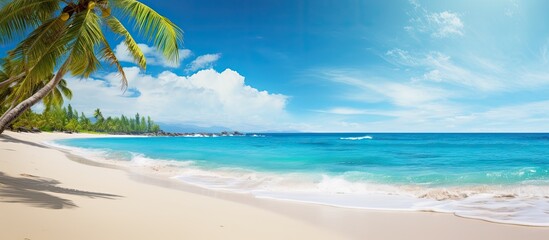 Wall Mural - Sunny day scene of a tropical beach with ample copy space image