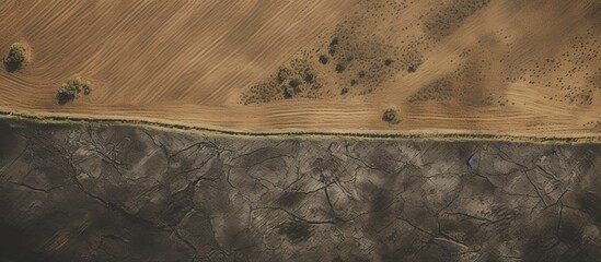 Wall Mural - Aerial view of a rural landscape with flat terrain showing meticulously plowed and seeded fields captured from a quadcopter with a copy space image