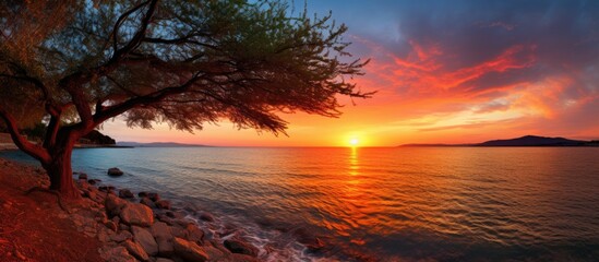 beautiful sunset by the sea. Copy space image. Place for adding text and design