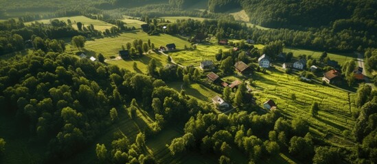 Poster - Aerial photo shows a charming rural area with cozy houses surrounded by lush green forest providing ample copy space in the image