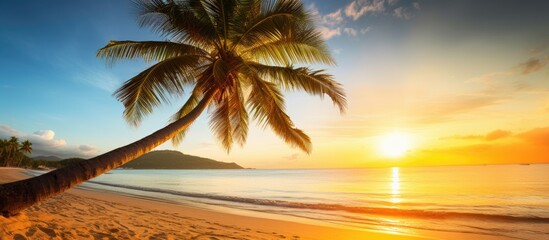 Canvas Print - A serene palm tree overlooks a picturesque tropical beach with crystal clear waters golden sands and a stunning sunset The scene offers a tranquil setting with ample copy space image