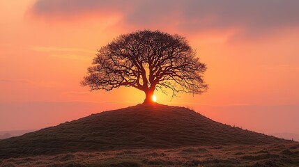 Wall Mural - A lone tree on a hill, with the sun setting behind it, casting its silhouette against the sky.