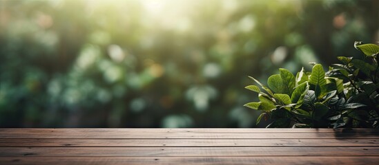 Poster - Blurry nature background enhances the visual appeal of the table top creating an ideal setting for a copy space image