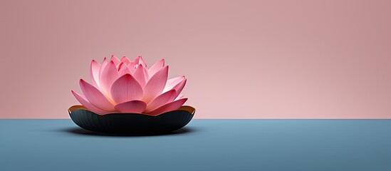 Wall Mural - Lotus flower in a pink hued floating pot with a blank background for texts or images. Copy space image. Place for adding text and design