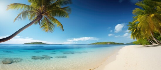 Canvas Print - A sunny palm fringed tropical beach with clear blue waters and golden sands inviting relaxation and tranquility perfect for a copy space image