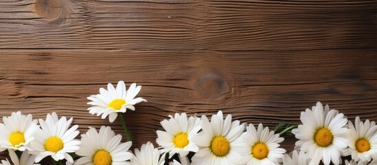 Sticker - Chamomile flowers on a wooden background in a blank greeting card with copy space image