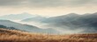 © Ilgun - Vegetation on a dry mountain grass blade surrounded by hills mountains and valleys with fog and clouds creeping in the valley Copy space image on a cloudy autumn day