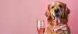 © Theeramisu - golden retriever wearing bow tie and a glass of wine in hand in pastel background.