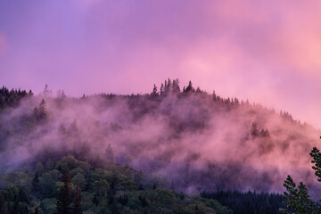 Wall Mural - mist in the mountains