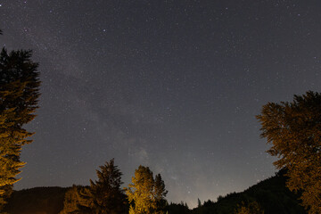 Wall Mural - starry night sky